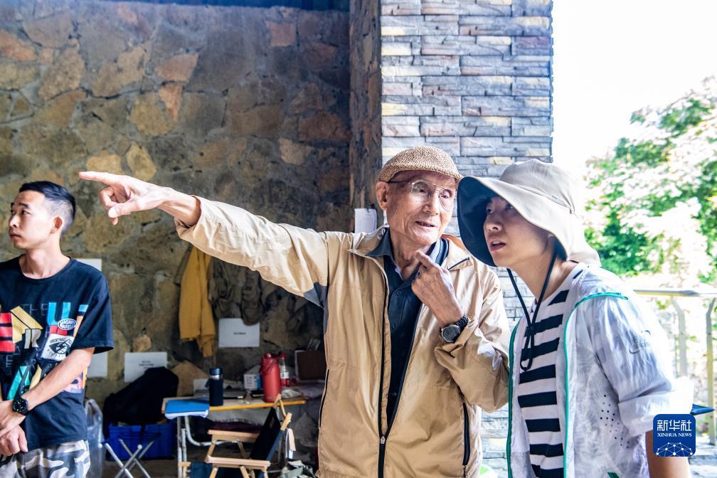 云顶真金下载